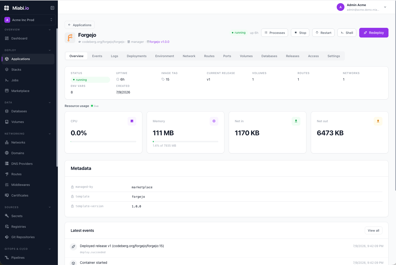 The application overview page showing deployment status and recent activity