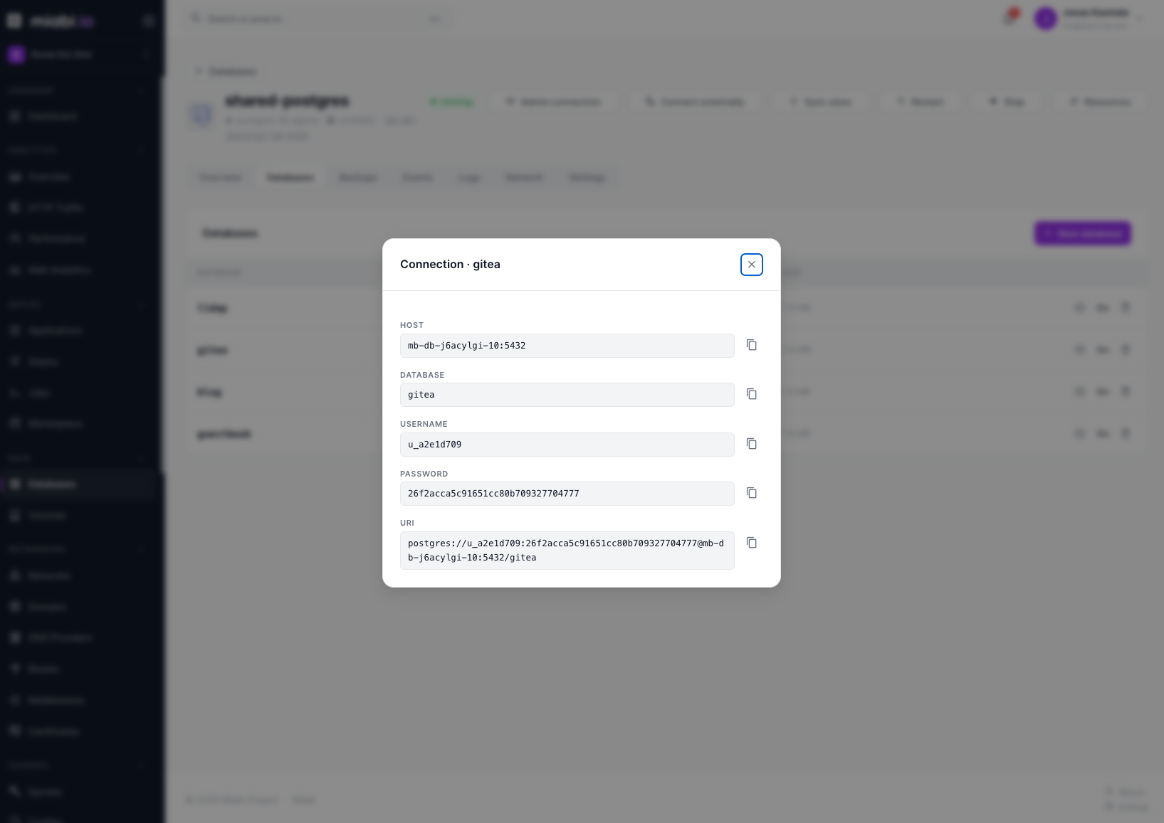 A database's connection details and credentials