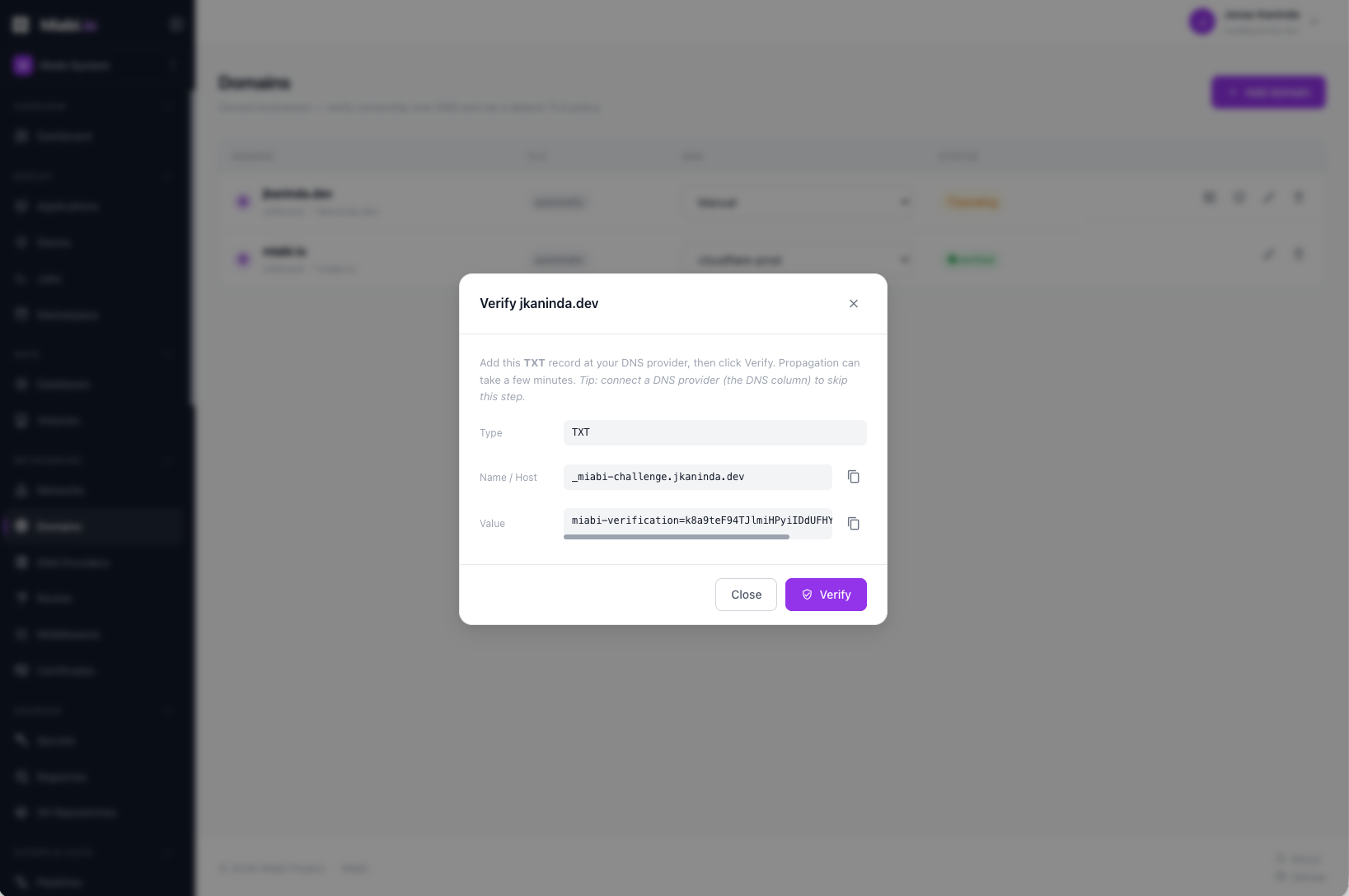Domain verification